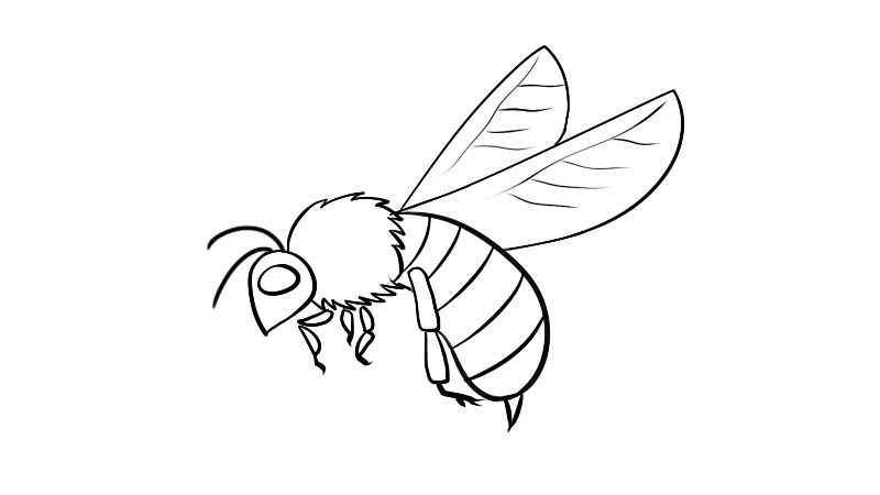 蜜蜂图片 简笔画 简单图片